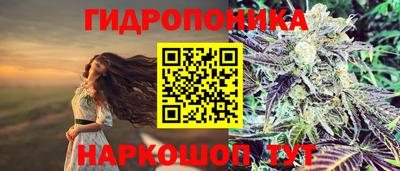 гидропоника Гусь-Хрустальный