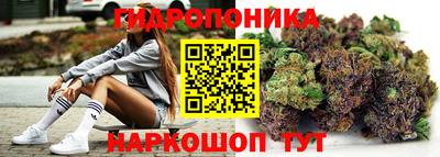 гидропоника Гусь-Хрустальный